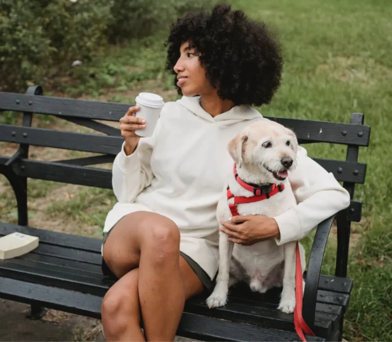 article thumb 4 optimized