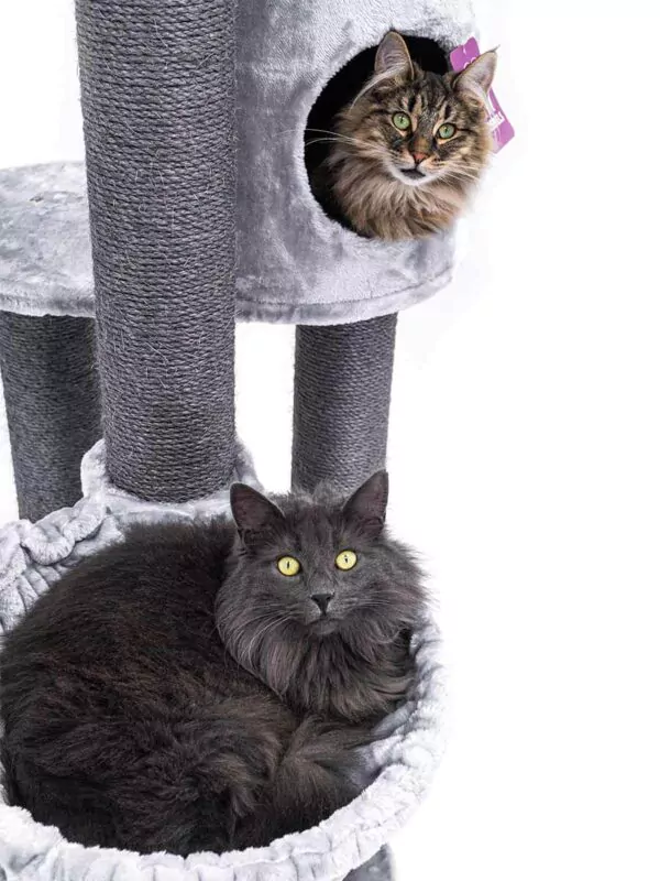 cat tree charlotte 180 – grey – 12cm post – with hammock
