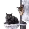 cat tree charlotte 180 – grey – 12cm post – with hammock