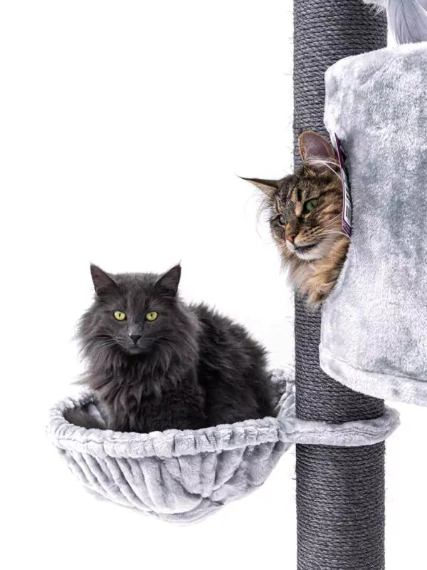 cat tree charlotte 180 – grey – 12cm post – with hammock