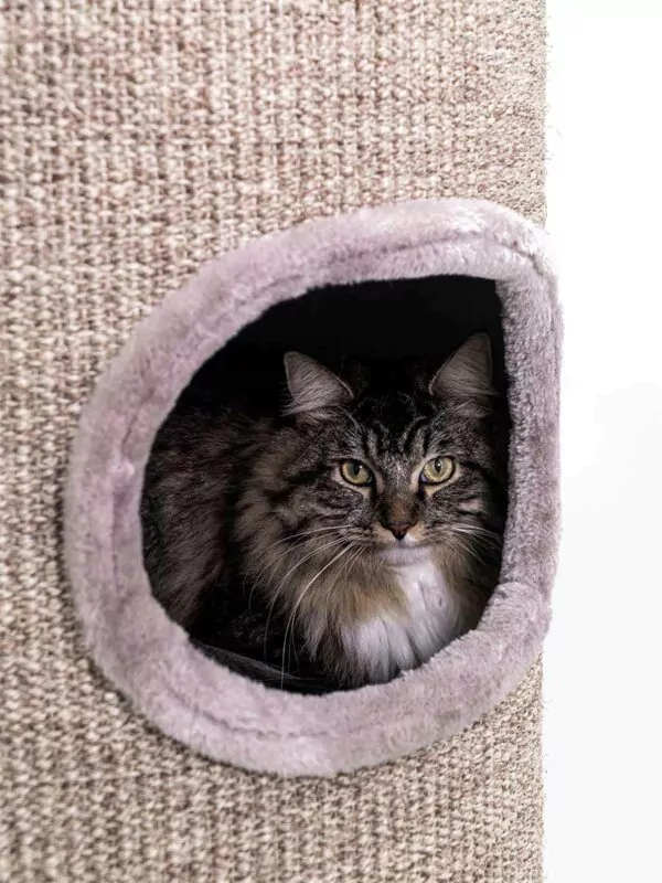 scratching barrel dome 110