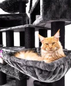 cat tree alley 200