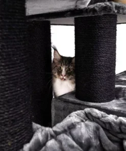 cat tree alley 200