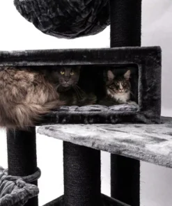 cat tree alley 200