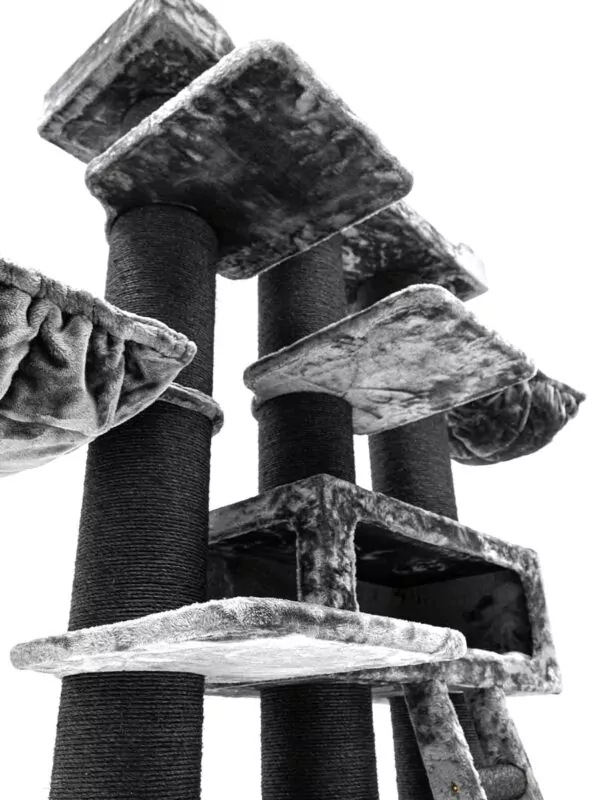 435260 siberian 200 10 600x800