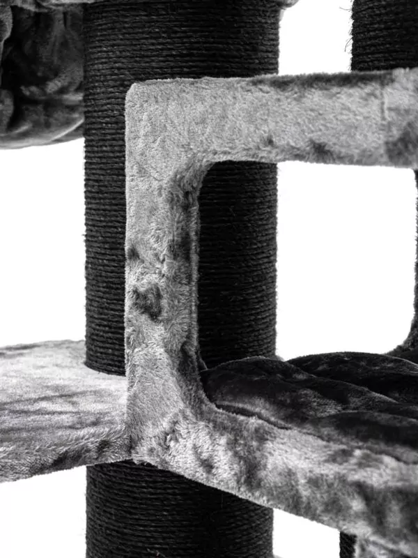 435260 siberian 200 4 600x800