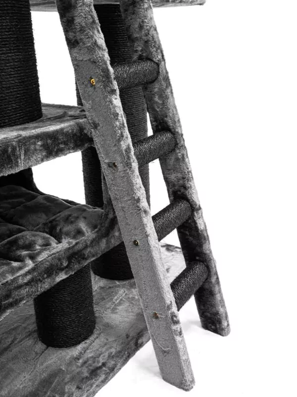 435260 siberian 200 5 600x800