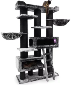 tree for cats