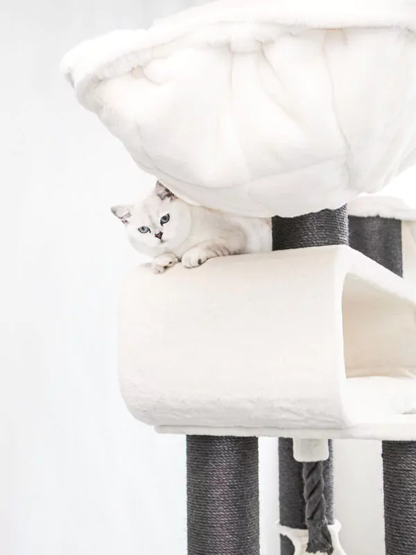 cat tree route 210 – off white