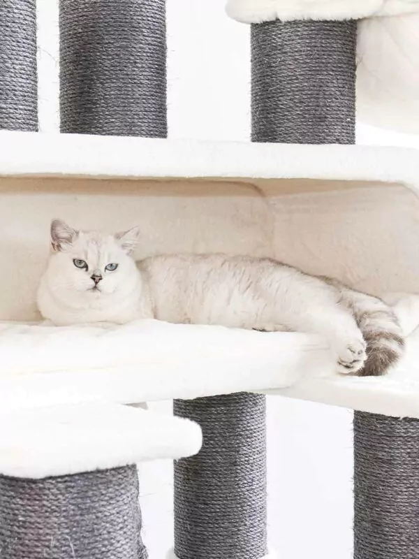 cat tree route 210 – off white
