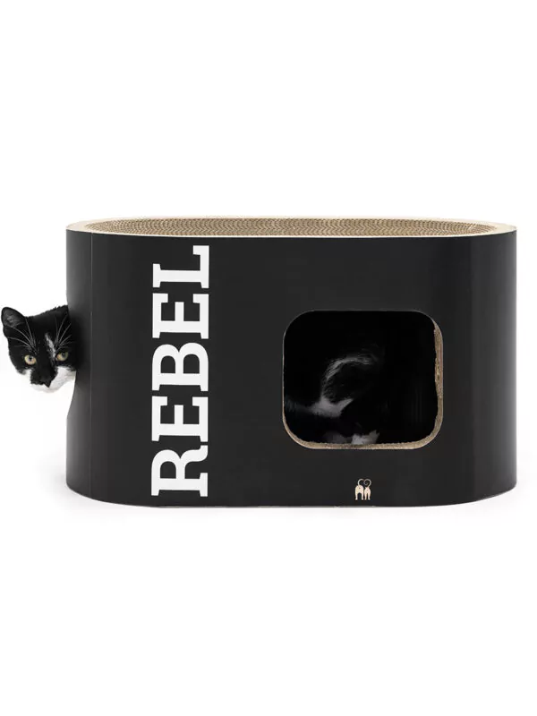 scratching barrel dome 110