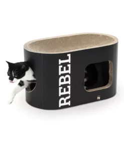 scratching barrel dome 110