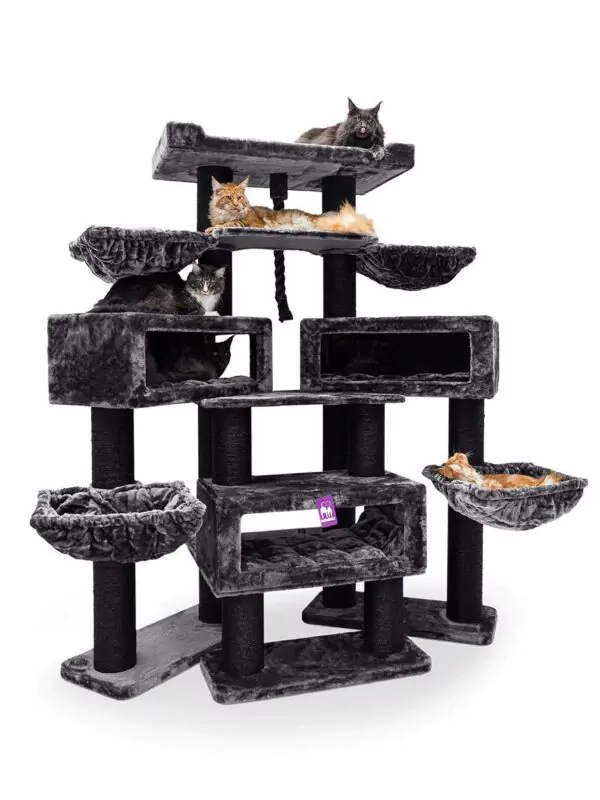 cat tree alley 200